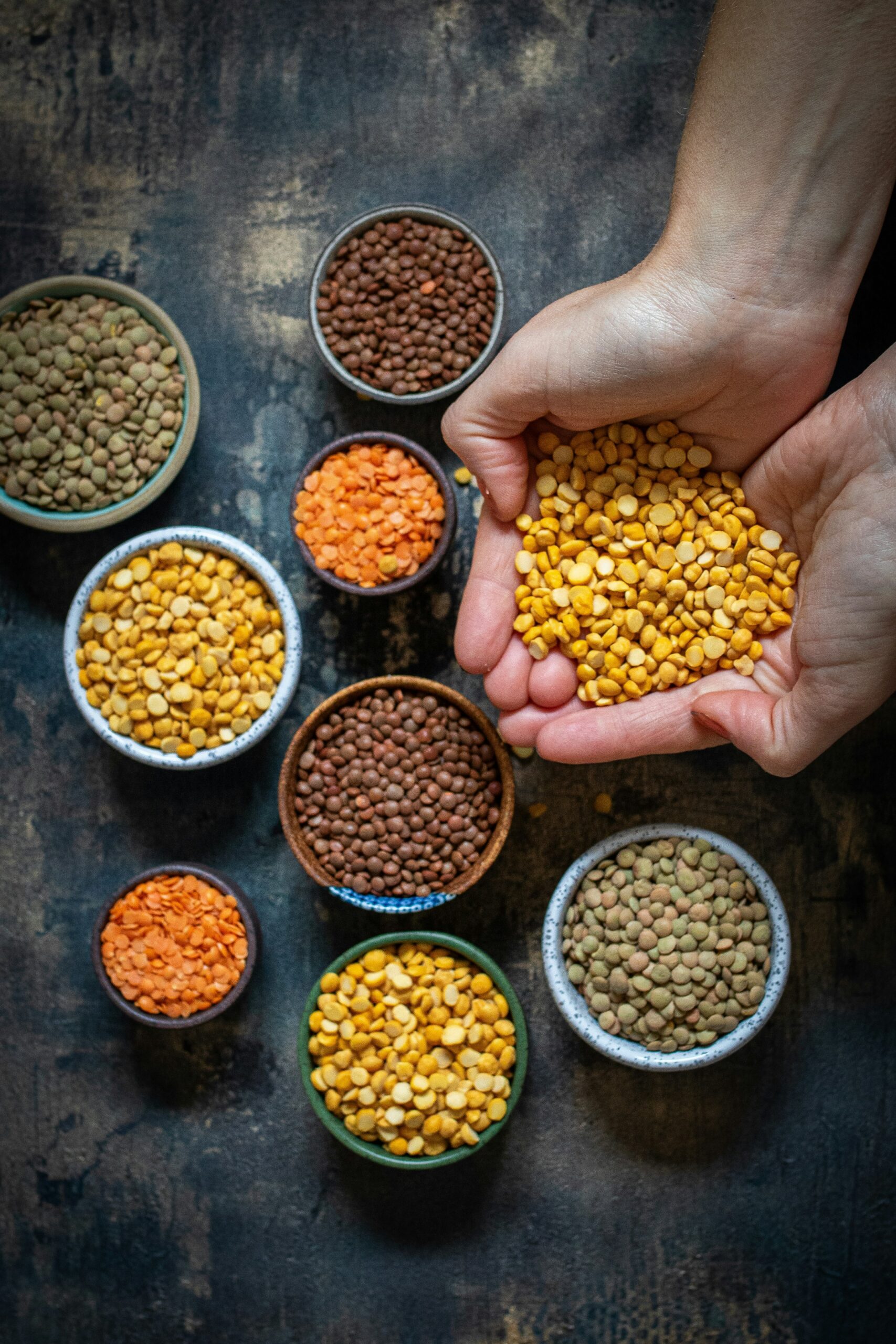 Hands holding yellow split pulses above bowls of assorted lentils and beans
