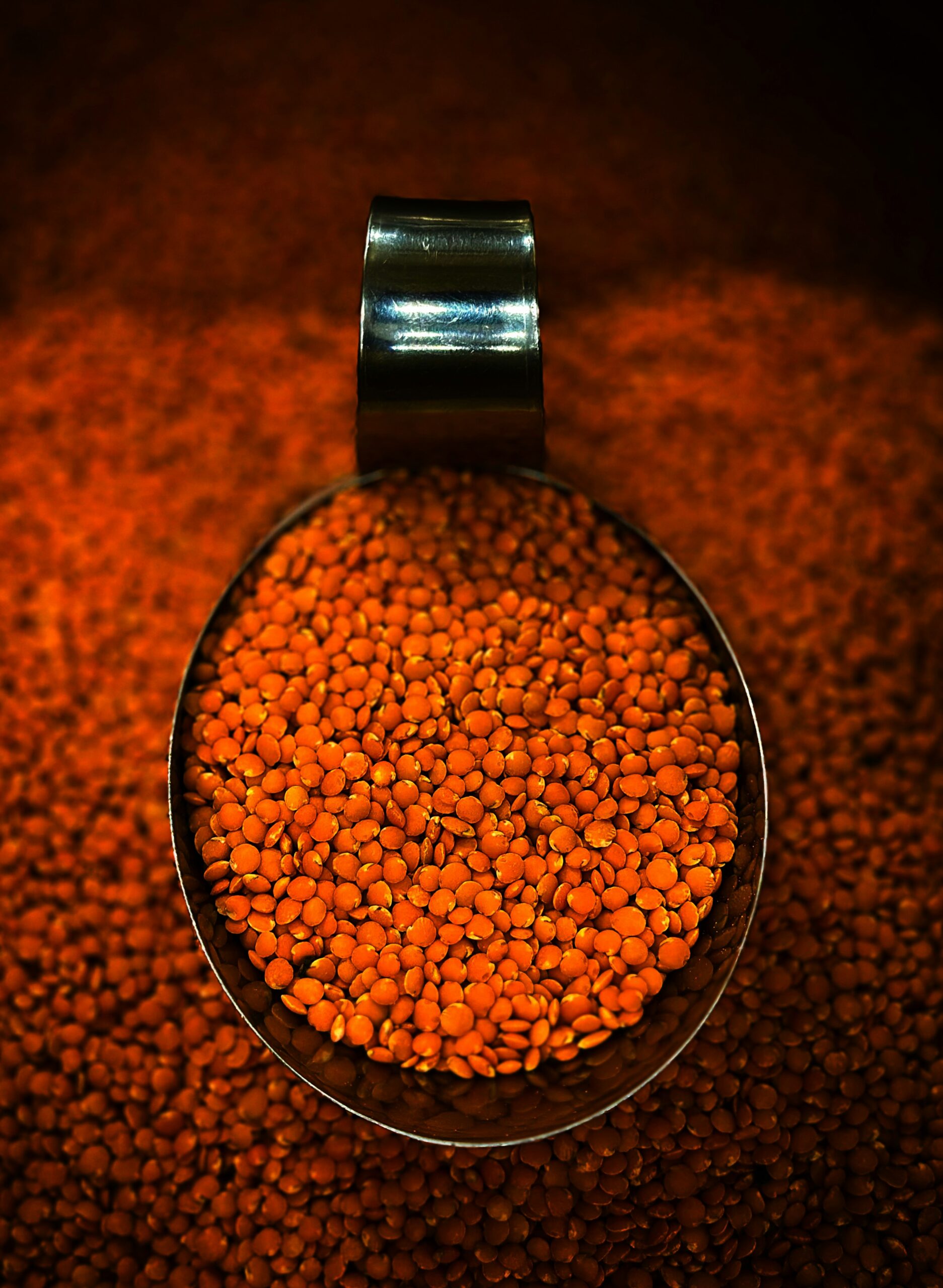 A metal scoop filled with red lentils above a bed of lentils