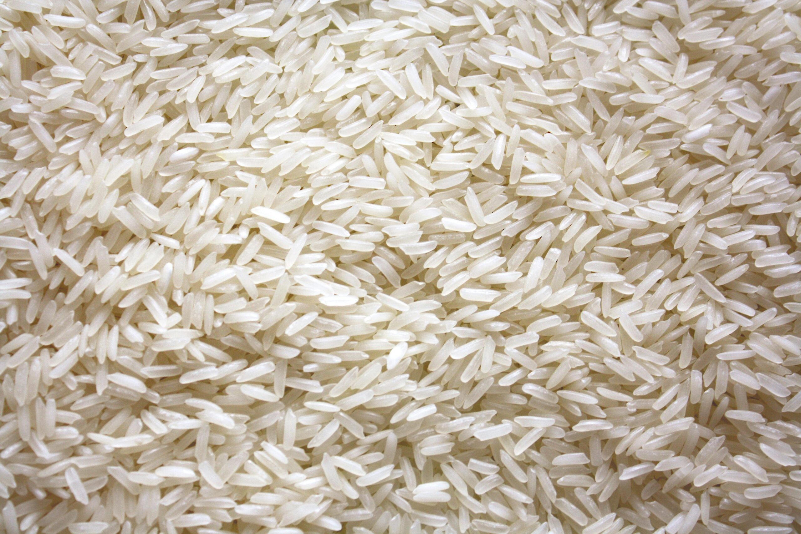 Uncooked white rice grains viewed close up