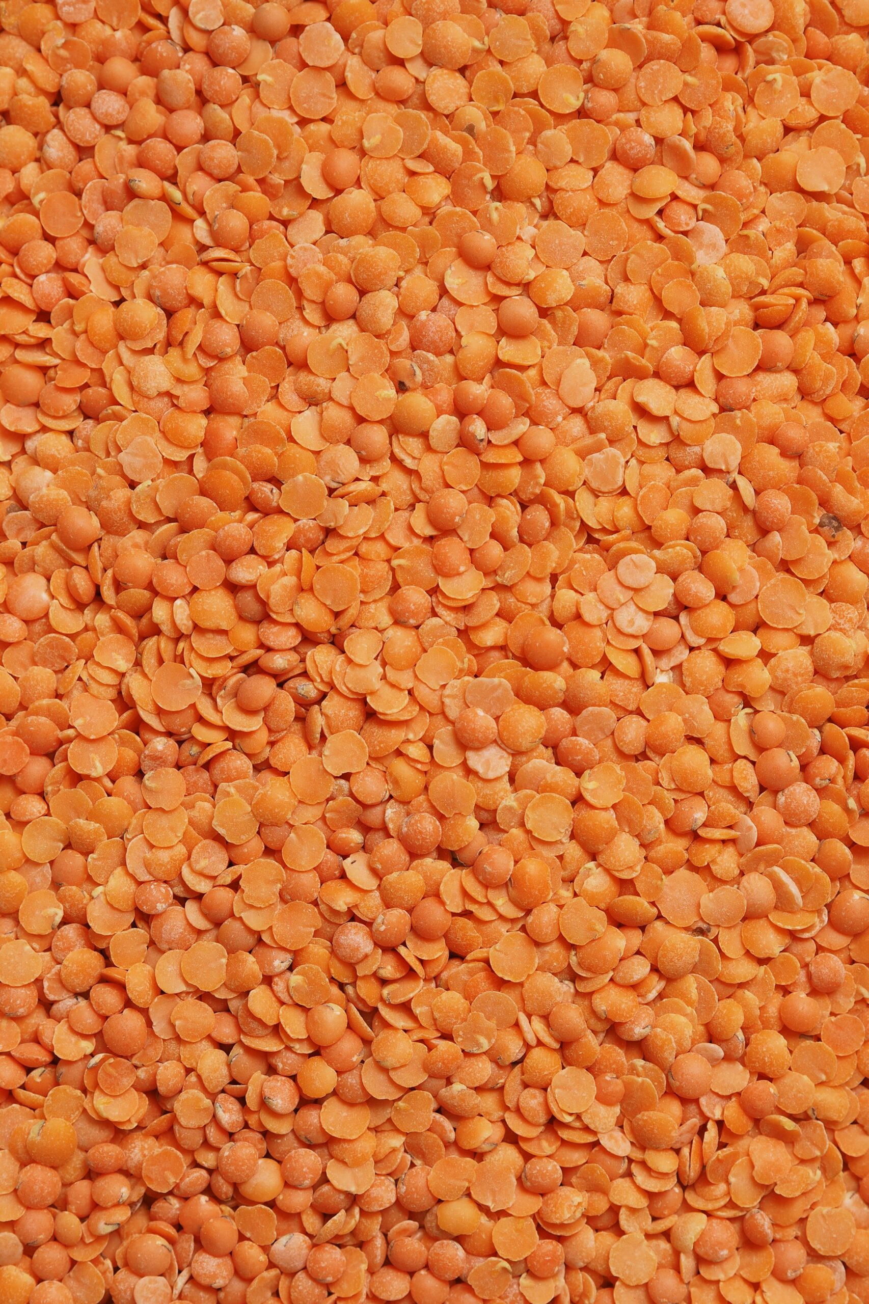 A close view of orange split lentils