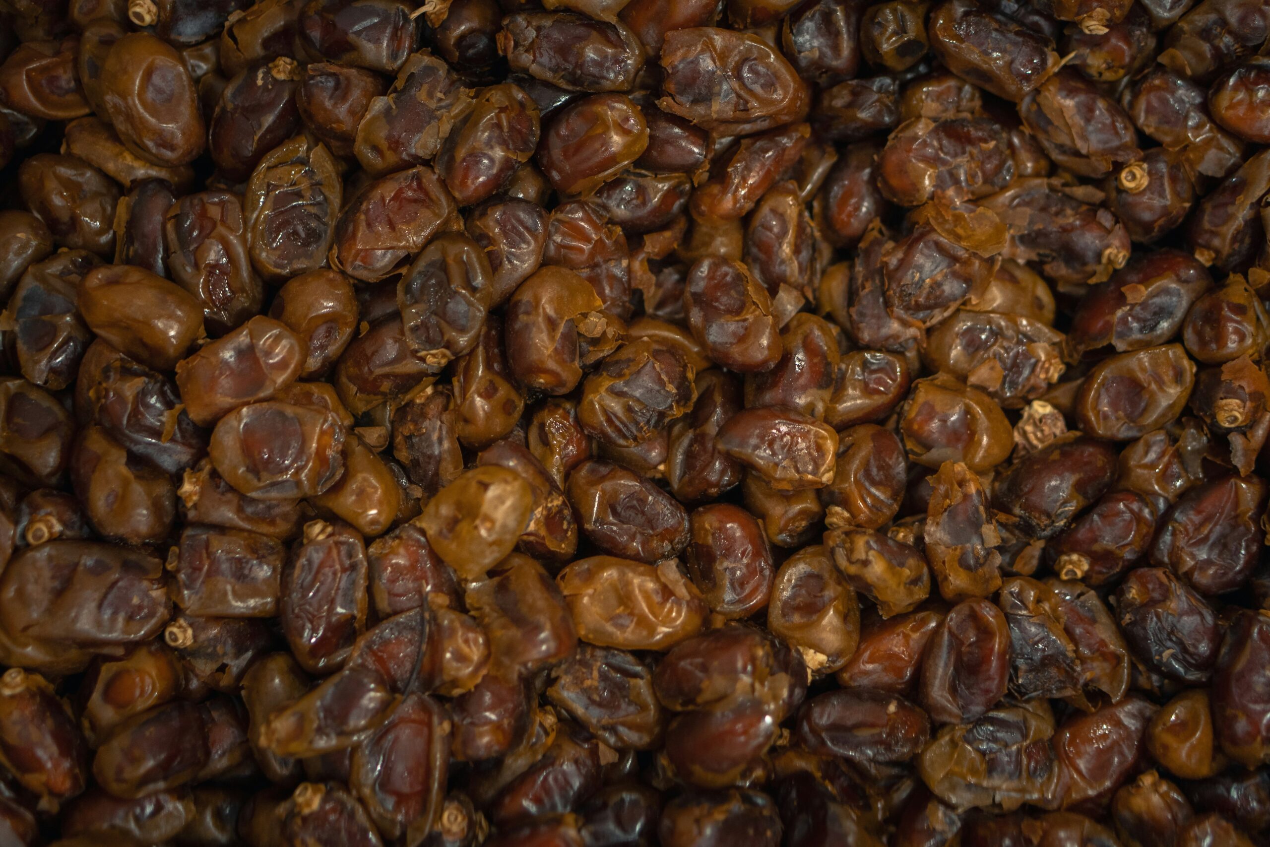 A close view of dried dates
