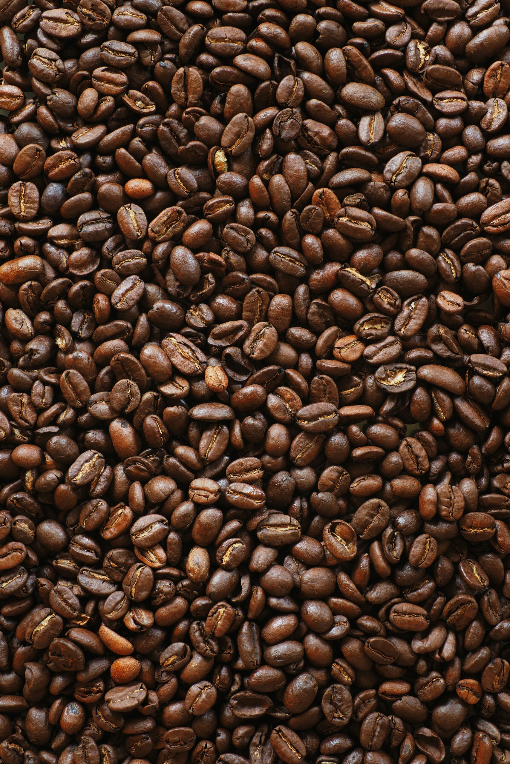 Roasted coffee beans viewed close up